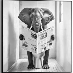 Schilderij Elephant Toilet - 50 x 50cm - Zwart-Wit