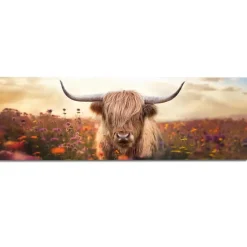 Schilderij Lente schotse hooglander - 52 x 156cm - Bruin