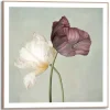Schilderij Tulips - 50 x 50cm - Groen