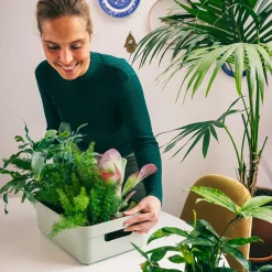 Sigma home opbergbox 9L groen