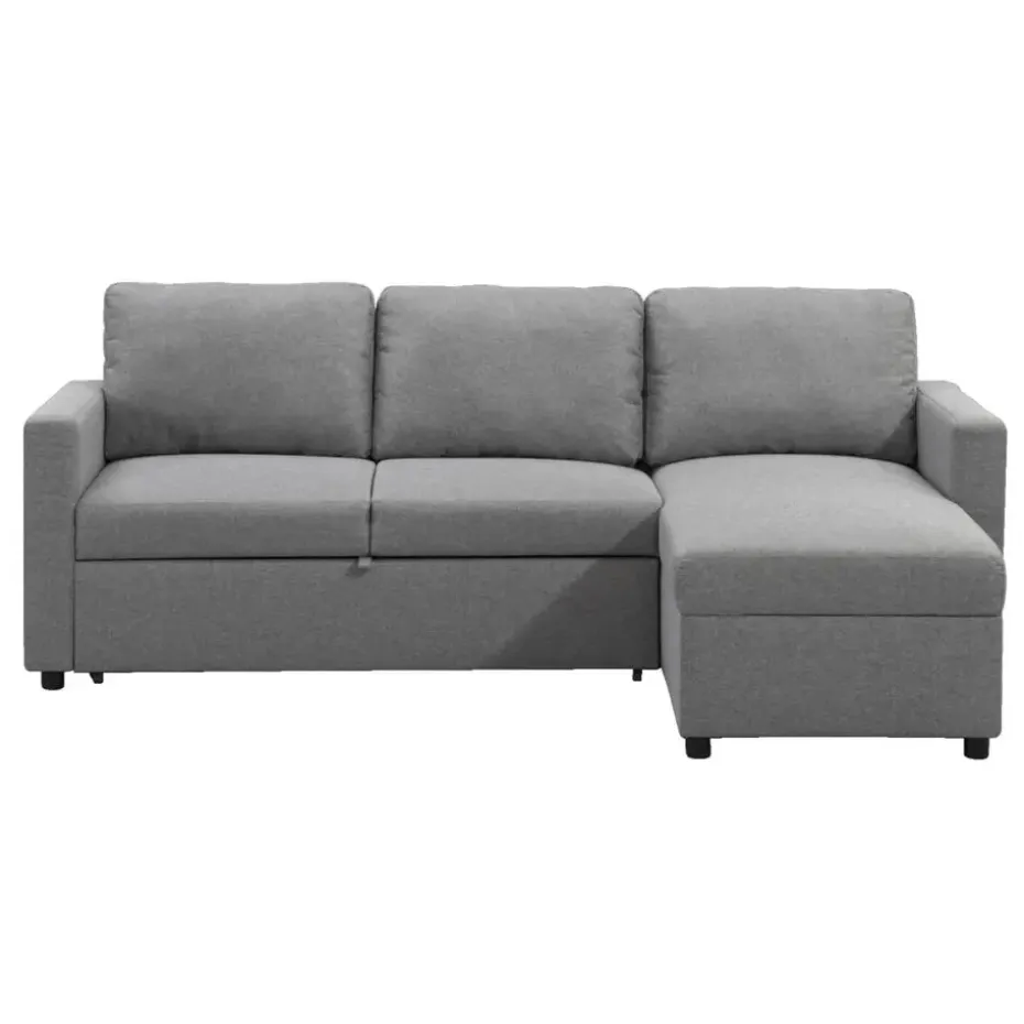 Slaapbank Turijn met opbergruimte - grijs - 82x215x145 cm