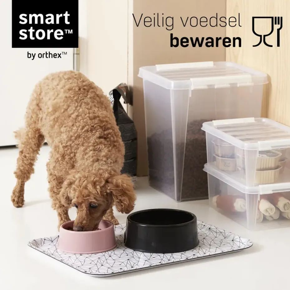 SmartStore Stevige Opbergbox 14L Set van 2 - 40x30x18cm