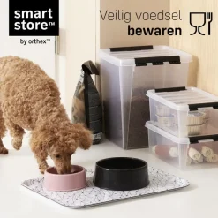 SmartStore Stevige Opbergbox 31L Set van 2 - 50x39x26cm
