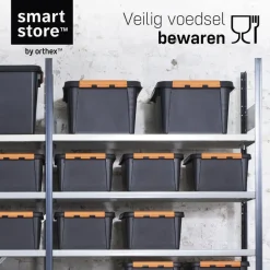 SmartStore Stevige Opbergbox 49L Set van 2 - 59x39x34cm