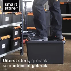 SmartStore Stevige Opbergbox 49L Set van 2 - 59x39x34cm