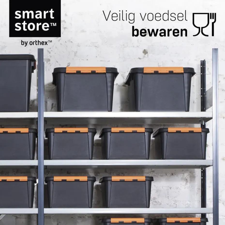 SmartStore Stevige Opbergbox 49L Set van 3 - 59x39x34cm
