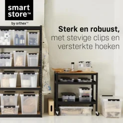SmartStore Stevige Opbergbox 52L Set van 2 - 50x39x41cm