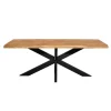 Starfurn - Boomstamtafel Denver - Bruin - 100x200x76 cm