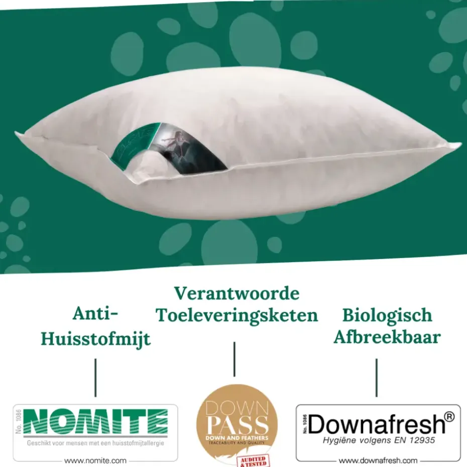 Ten Cate 100% Eendenveren Hoofdkussen - 60x70 - 2 stuks