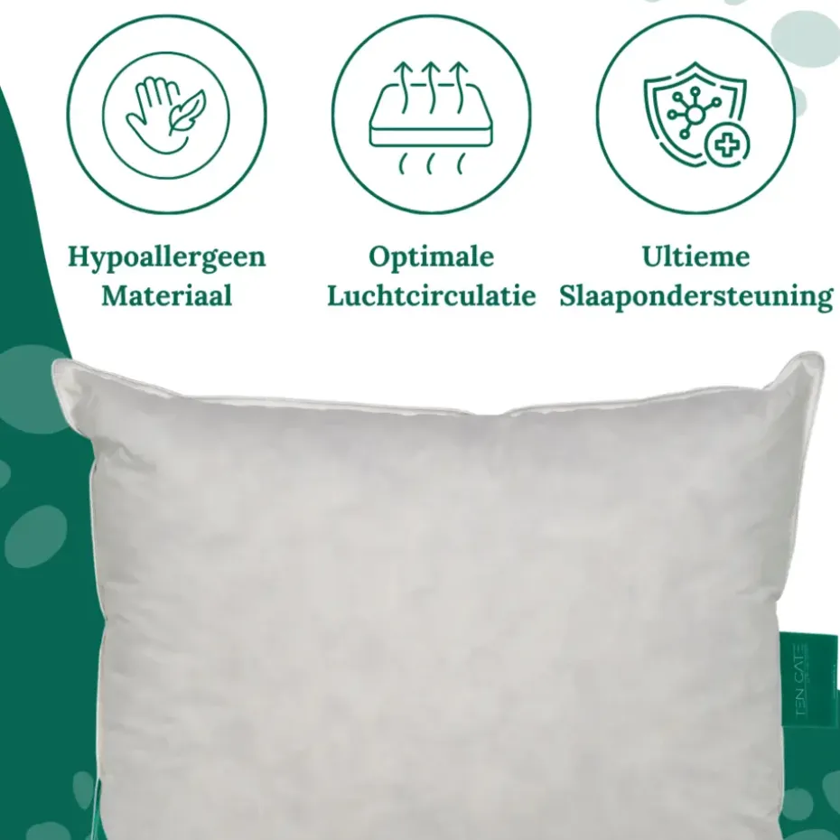 Ten Cate 100% Eendenveren Hoofdkussen - 60x70 - 2 stuks