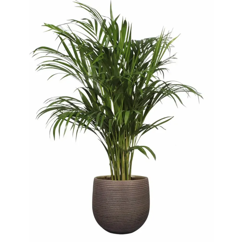 TS Collection plantenpot - Lydia - paars - 20 x 22 cm - keramiek