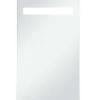 vidaXL - Badkamerspiegel - Zilver - Glas - 60 x 100 cm