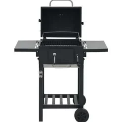 vidaXL - Barbecue - Zwart - Staal