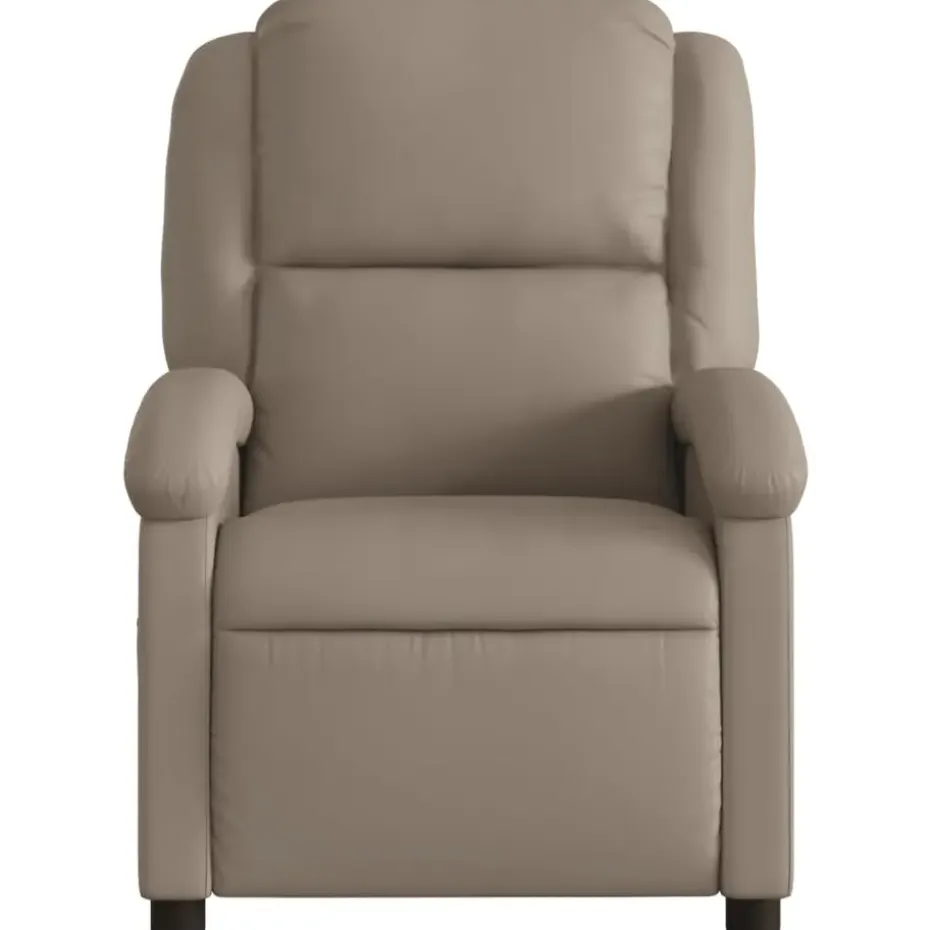 vidaXL - Fauteuil - Bruin - Kunstleer