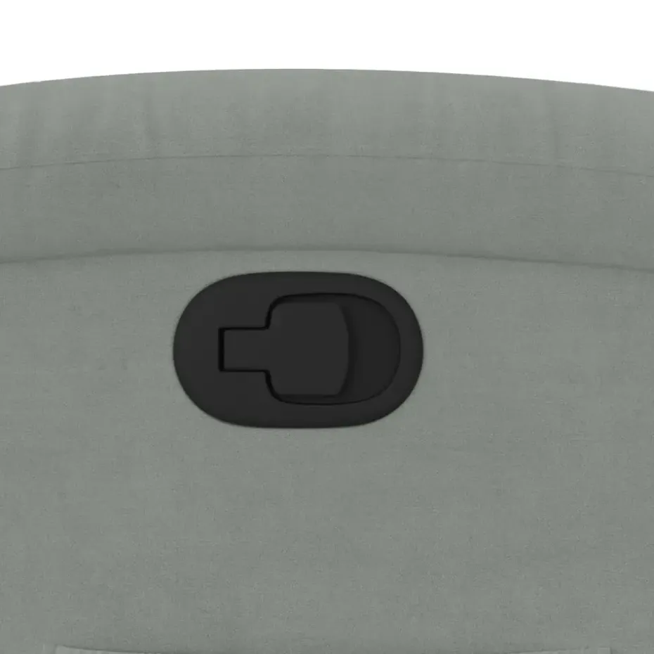 vidaXL - Fauteuil - Grijs - Fluweel