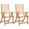 vidaXL - Inklapbare tuinstoelen - Bruin - Acaciahout - 2 stuks