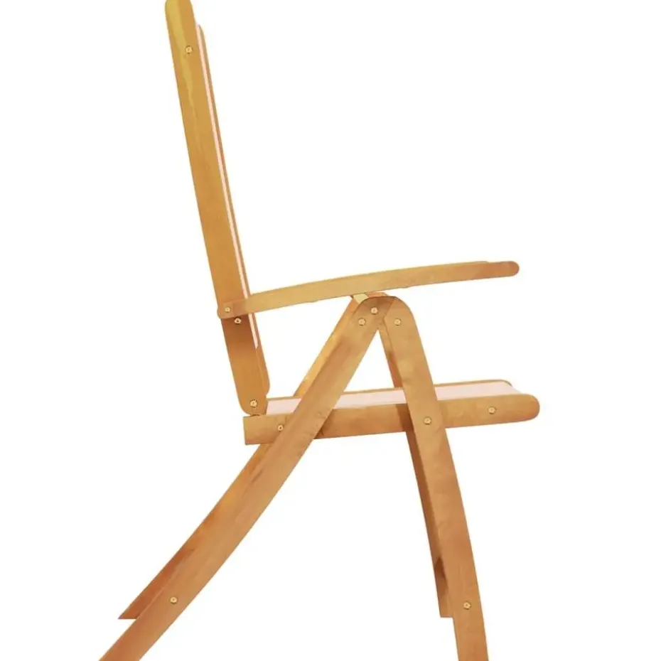 vidaXL - Inklapbare tuinstoelen - Bruin - Acaciahout - 2 stuks