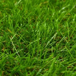 vidaXL - Kunstgras - Groen - Polypropyleen - 1 x 5 m