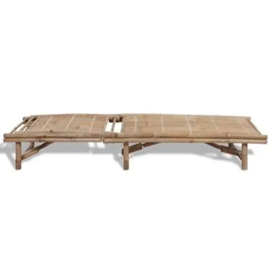 vidaXL - Ligstoel - Bruin - Hout