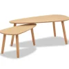 vidaXL - Salontafel - Bruin - Grenenhout - 2 stuks