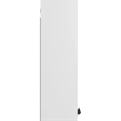 vidaXL - Spiegelkast met plank - Wit - Bewerkt hout en acryl - 64x20x67 cm