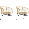 vidaXL - Terrasstoel - Bruin - Poly rattan en staal - 2 stuks
