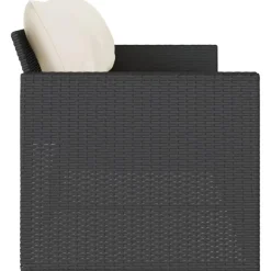 vidaXL - Tuinbank - Zwart - Poly rattan