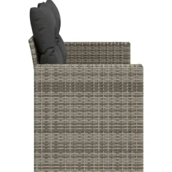 vidaXL - Tuinbank 2-zits - Grijs - Poly rattan - Met kussens