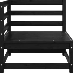 vidaXL - Tuinbank 2-zits - Zwart - Grenenhout - Met kussens