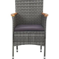 vidaXL - Tuinset - Grijs - Poly rattan