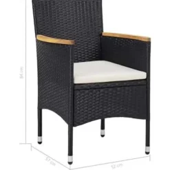 vidaXL - Tuinset - Zwart - Rattan