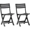 vidaXL - Tuinstoel - Antraciet - Kunststof - 2 stuks
