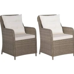 vidaXL - Tuinstoel - Bruin - Poly rattan - 2 stuks