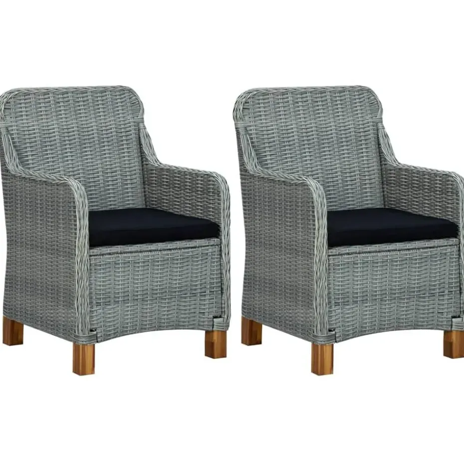 vidaXL - Tuinstoel - Grijs - Poly rattan - 2 stuks