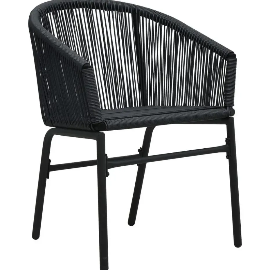 vidaXL - Tuinstoel - Zwart - Polyetheen - 2 stuks