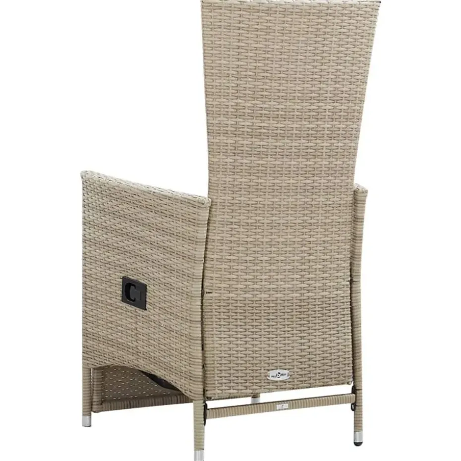 vidaXL - Tuinstoelen - Beige - Poly rattan - 2 stuks - Met kussens