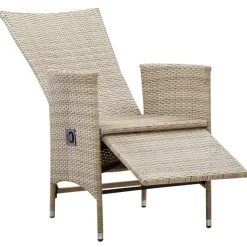 vidaXL - Tuinstoelen - Beige - Poly rattan - 2 stuks - Met kussens
