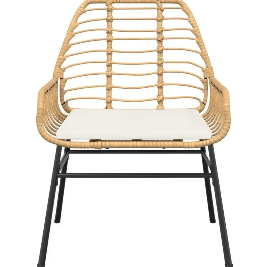 vidaXL - Tuinstoelen - Kussens - Bruin - Poly rattan - 2 stuks