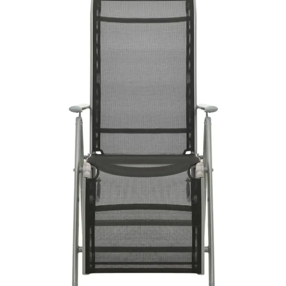 vidaXL - Tuinstoelen - Zilverkleurig - Aluminium - 2 stuks - Verstelbaar