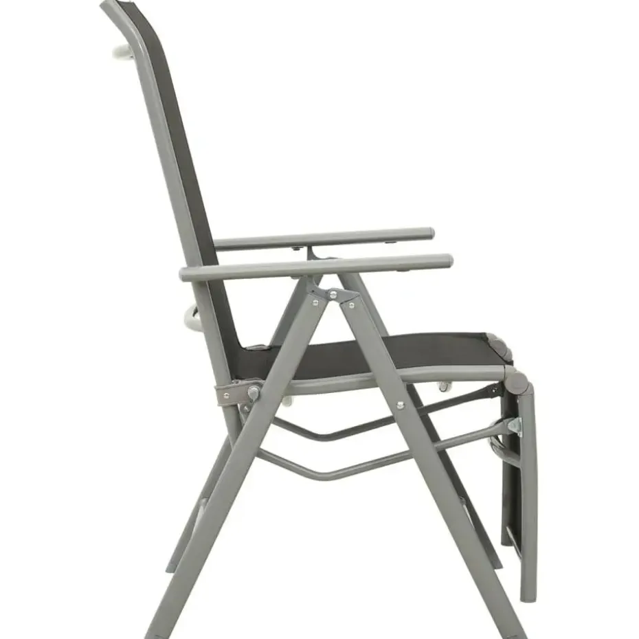 vidaXL - Tuinstoelen - Zilverkleurig - Aluminium - 2 stuks - Verstelbaar