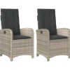 vidaXL - Tuinstoelen verstelbaar - Grijs - Poly rattan - 2 stuks - Met kussens