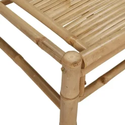 vidaXL - Tuintafel - Bruin - Bamboe - 100 x 55 x 33 cm
