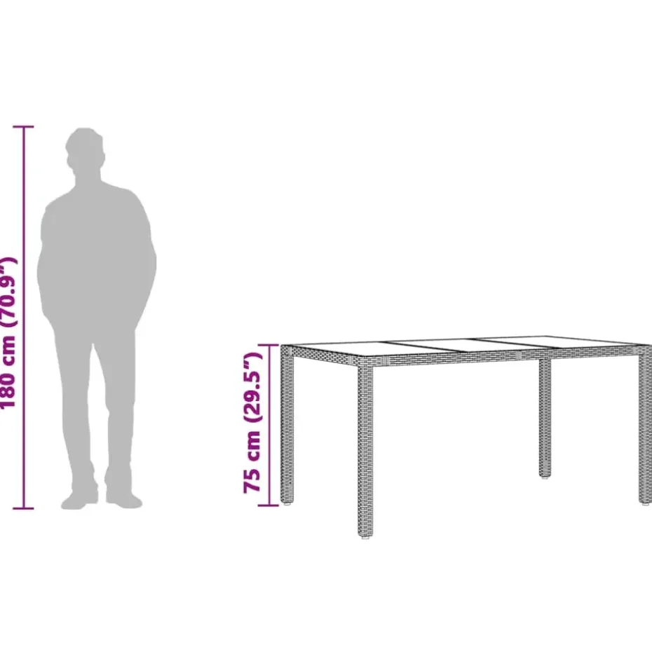 vidaXL - Tuintafel - Zwart - Poly rattan - 150 x 90 x 75 cm