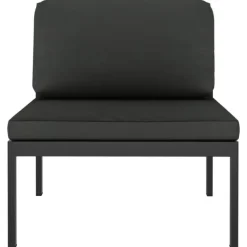 vidaXL - Tweezitsbank - Antraciet - Aluminium