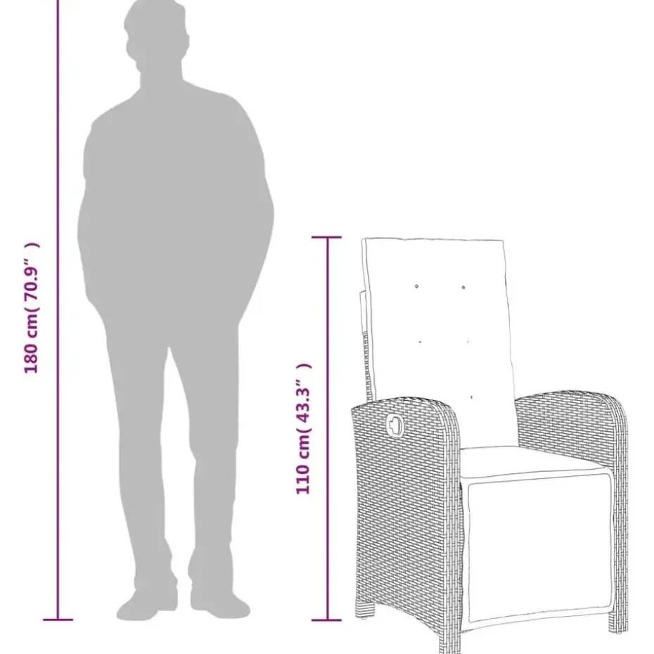 vidaXL - Verstelbare tuinstoelen - Voetensteun - Grijs - Poly rattan - 2 stuks