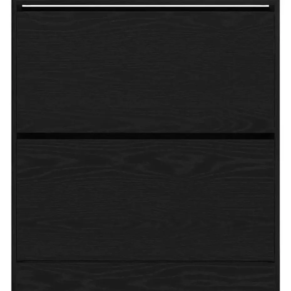 vidaXL - Zwart Schoenenkast met 2 vakken - Bewerkt hout - 80x21x87.5 cm
