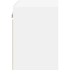 vidaXL - Zwevend LED TV-meubel glas legplank - Wit - 40x28.5x40 cm