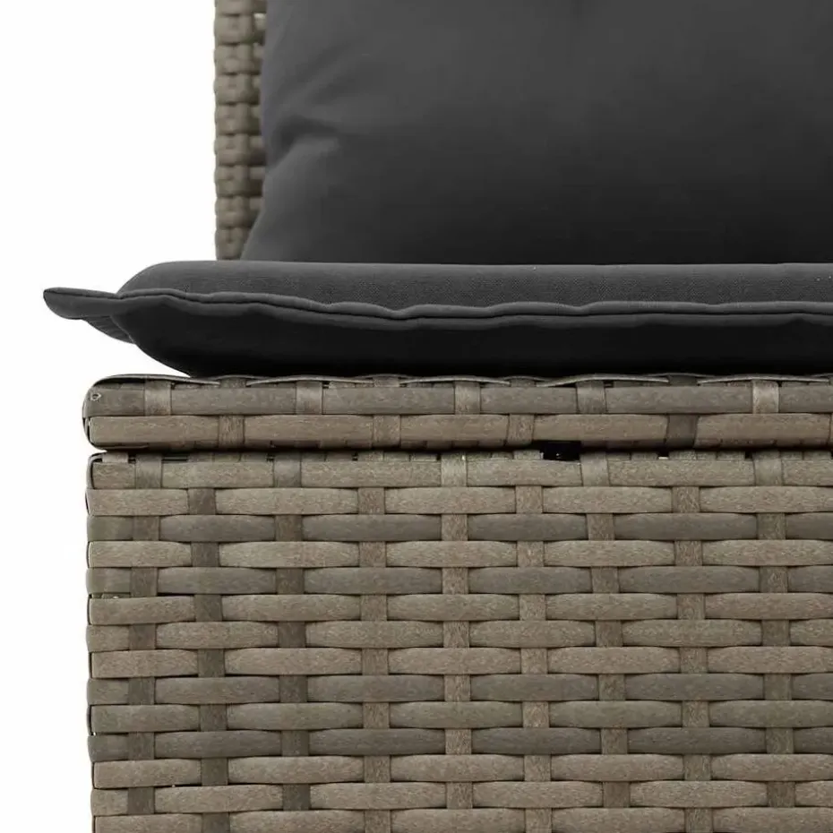 vidaXL Loungebank 2 zits met kussens poly rattan - Grijs 110x62x69 cm